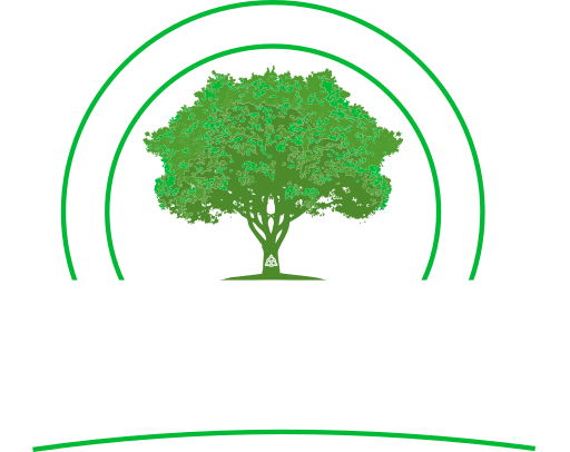 Trinity-Tree