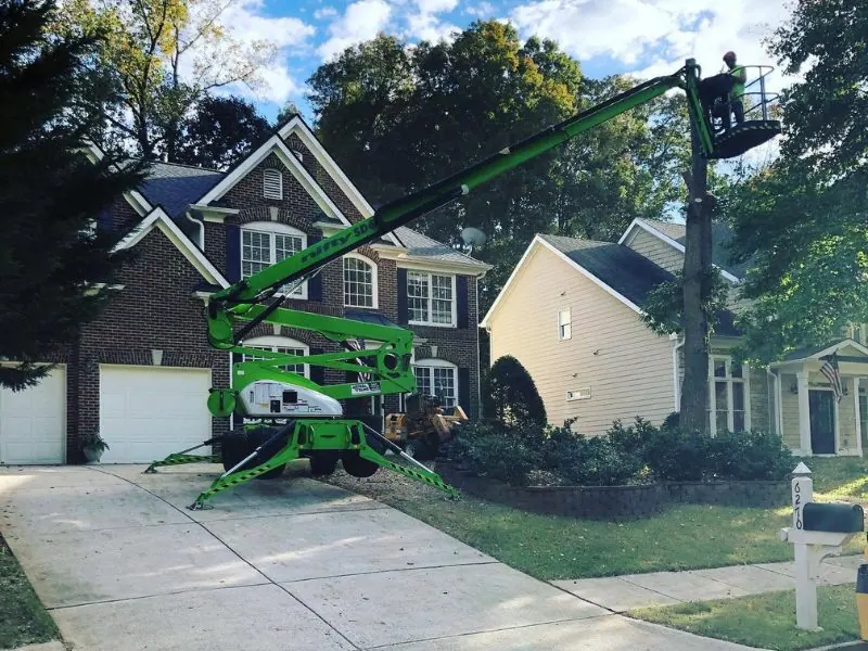 Tree removal service in Cumming GA clearing trees for a large barn and driveway