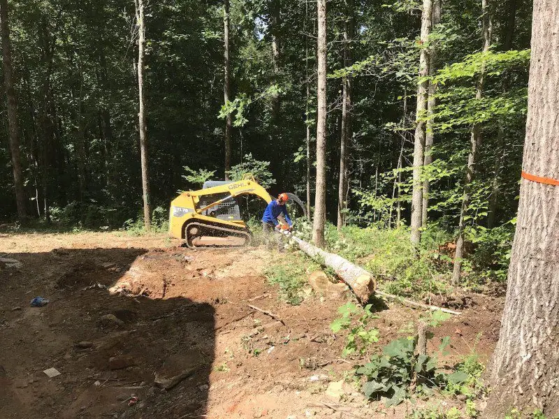 Tree removal service in Cumming GA with professional cleanup